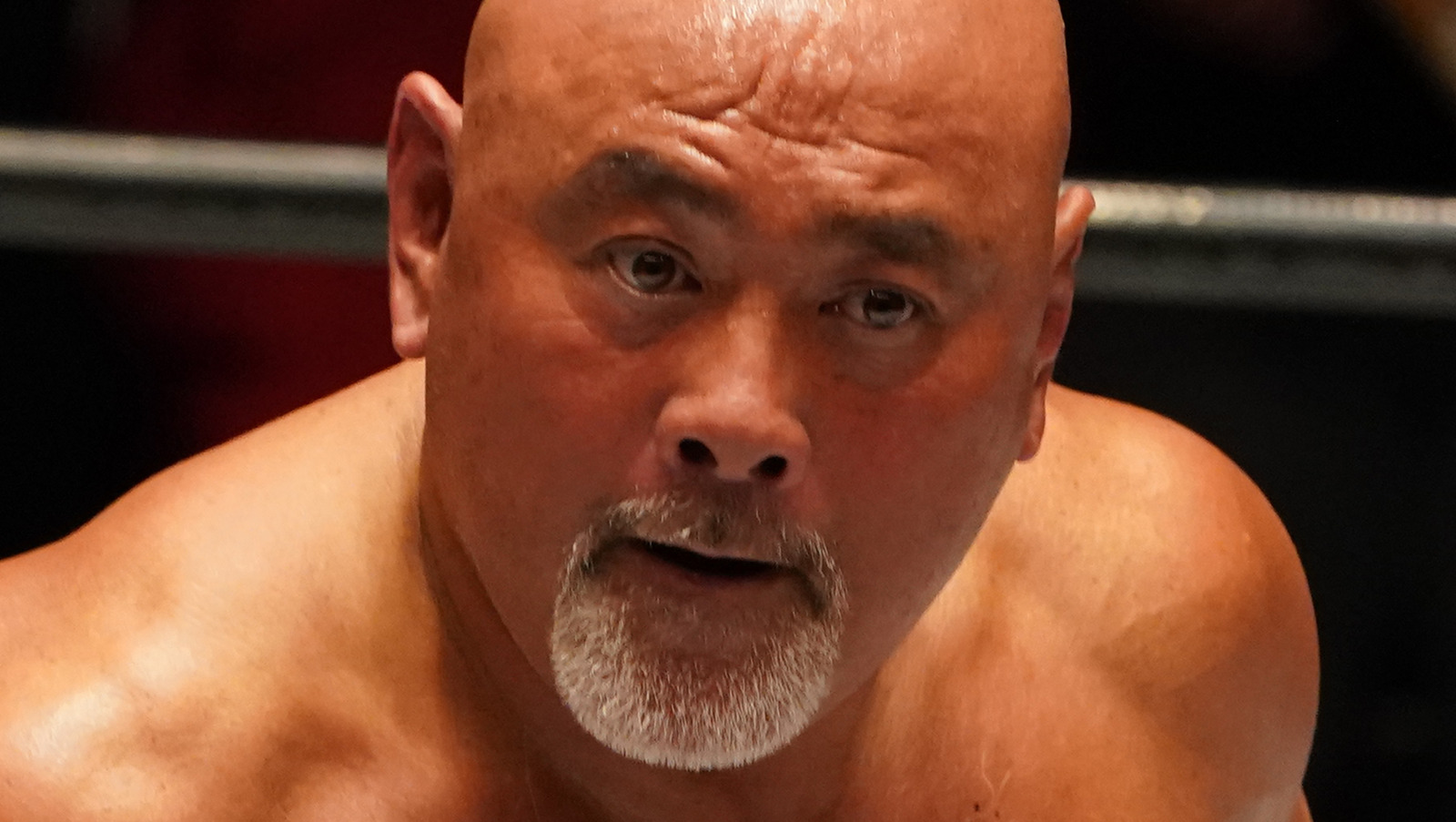 NJPW Legends Keiji Muto And Seiji Sakaguchi Honored By Japanese Government - Wrestling Inc. 5 Photo of NJPW Legends Keiji Muto And Seiji Sakaguchi Honored By Japanese Government – Wrestling Inc.