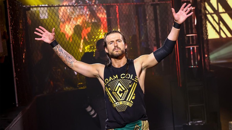 adam cole 1