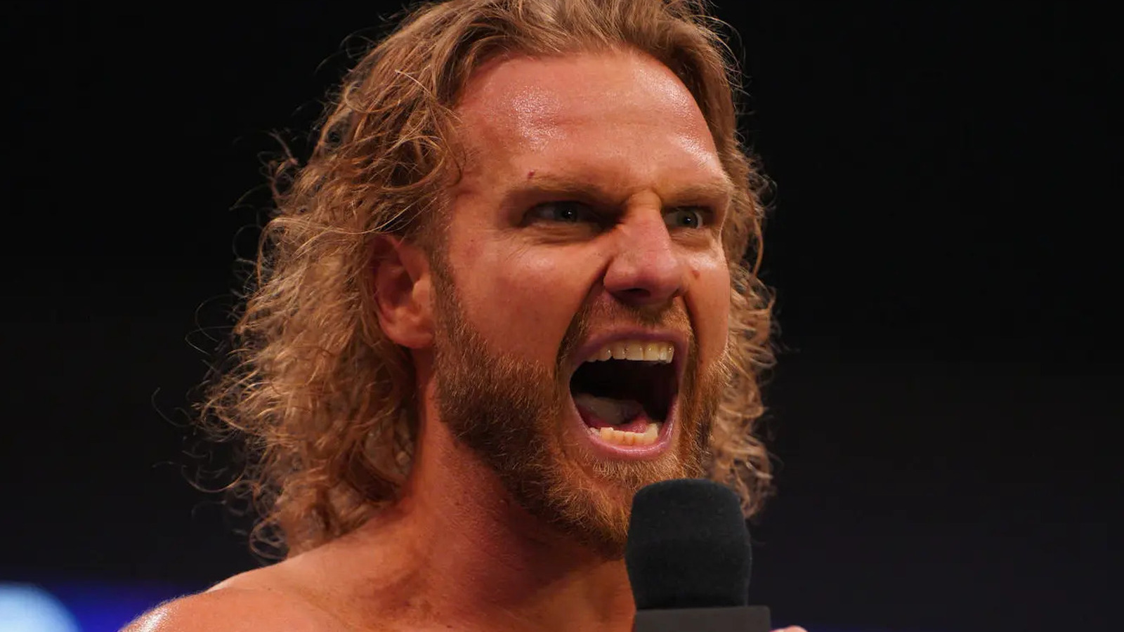 Adam Page, Pro Wrestling