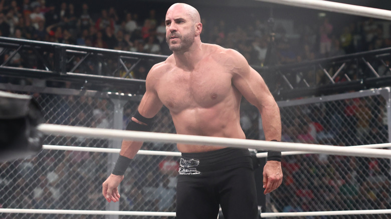 Claudio Castagnoli in a cage match
