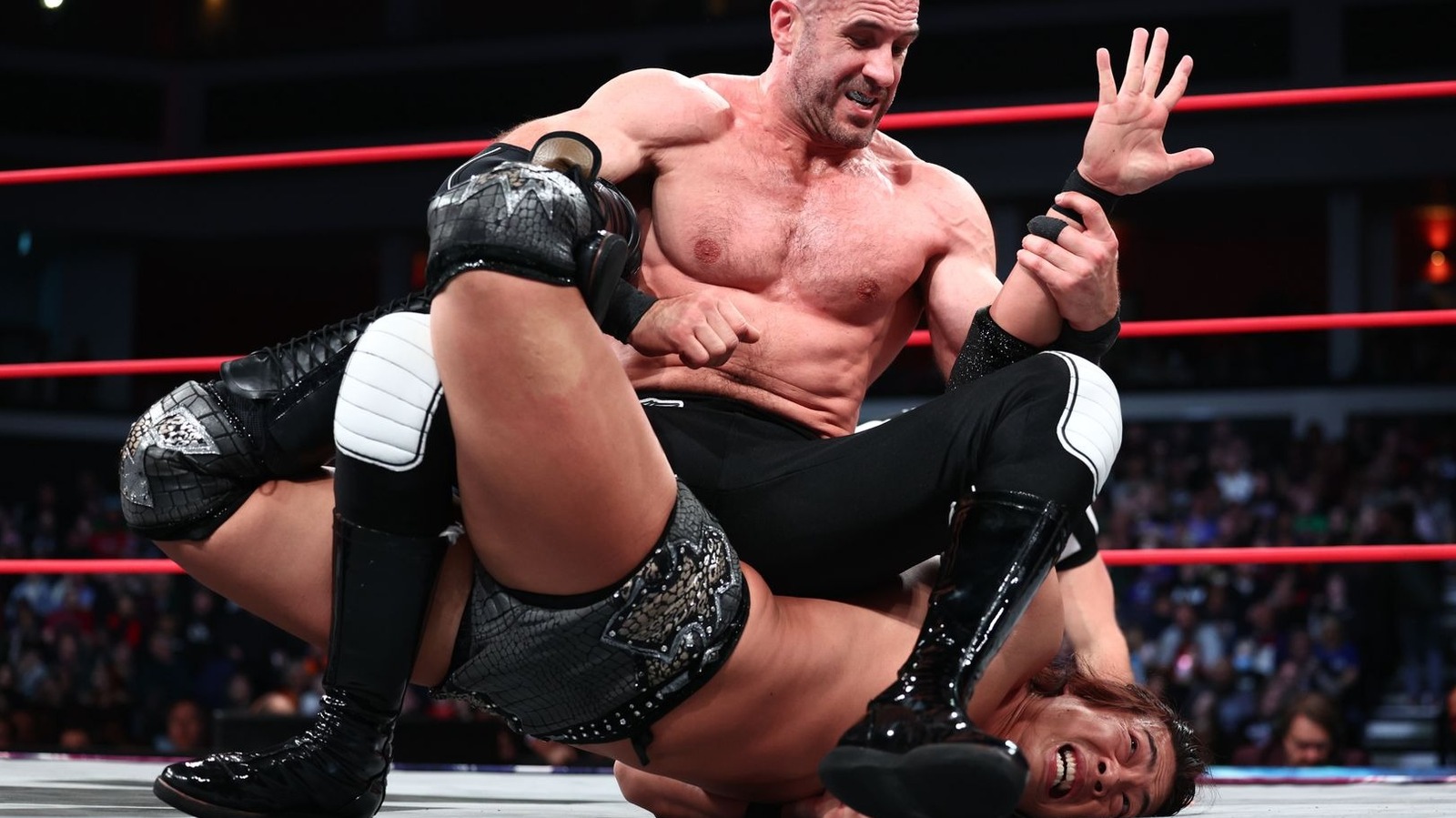 AEW Collision Results 3/7 - World Tag Titles On The Line, Castagnoli Vs. Takeshita