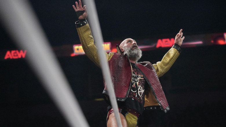 Ciampa posing on the turnbuckles