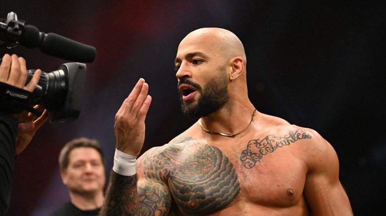 Ricochet poses for the camera