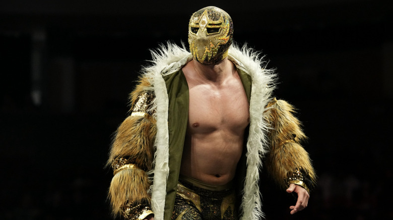 Dorada posing on the ring ropes