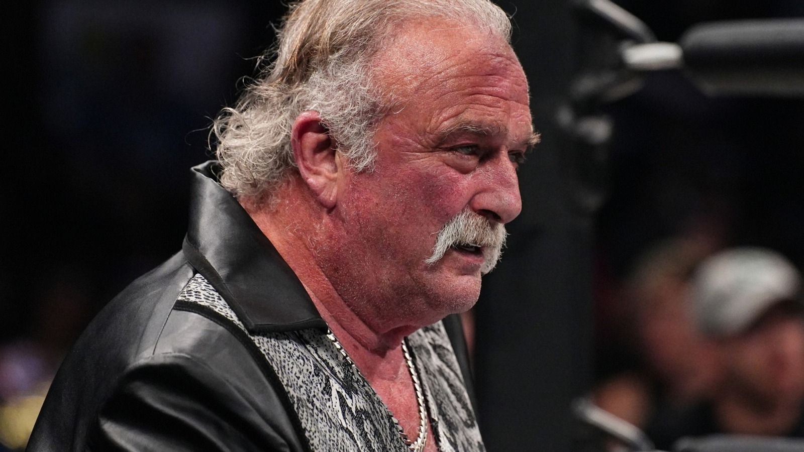 AEW Star Jake 'The Snake' Roberts On What He Wants To Be Remembered For