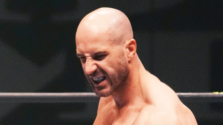 Claudio Castagnoli snarls while in New Japan