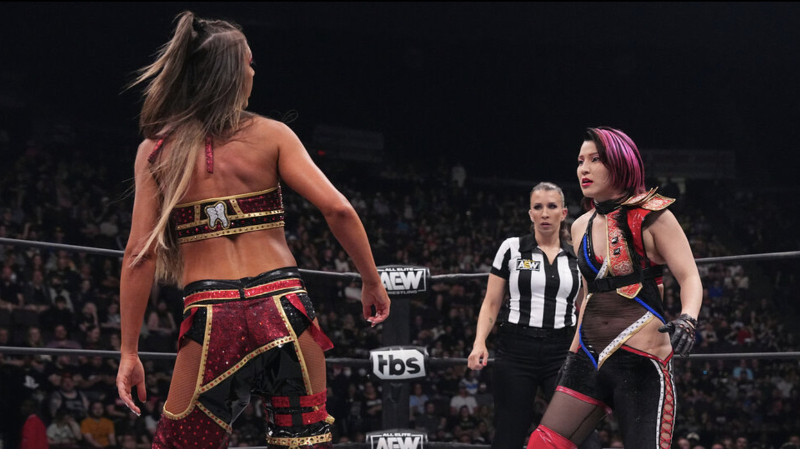 AEW's Hikaru Shida Seemingly Bemoans Britt Baker After No. 1 Contender's Four-Way - Vimarsana News