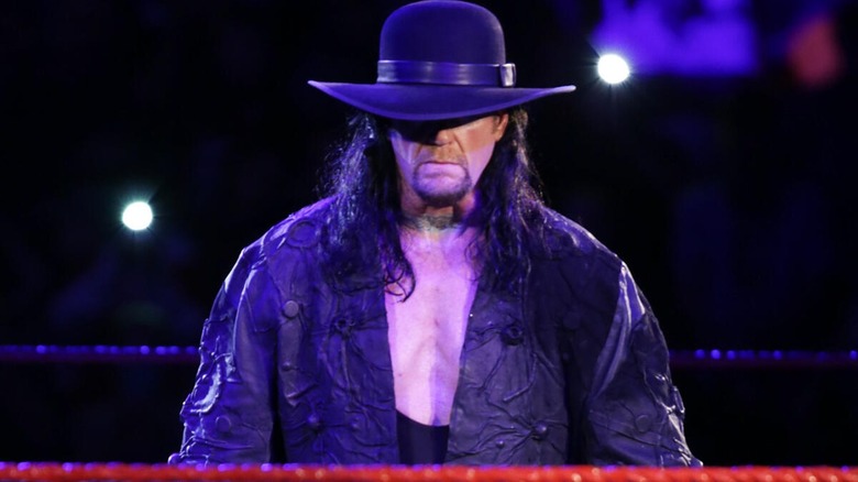 The Undertaker in the ring