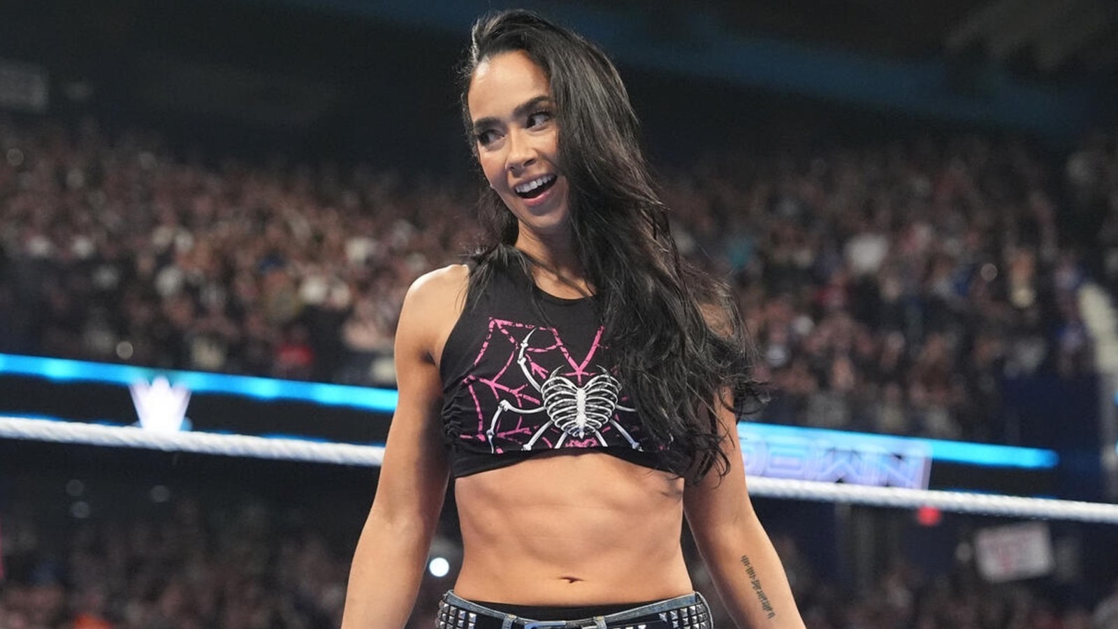 AJ Lee Discusses 'Wonderful Surprise' Of WWE Return