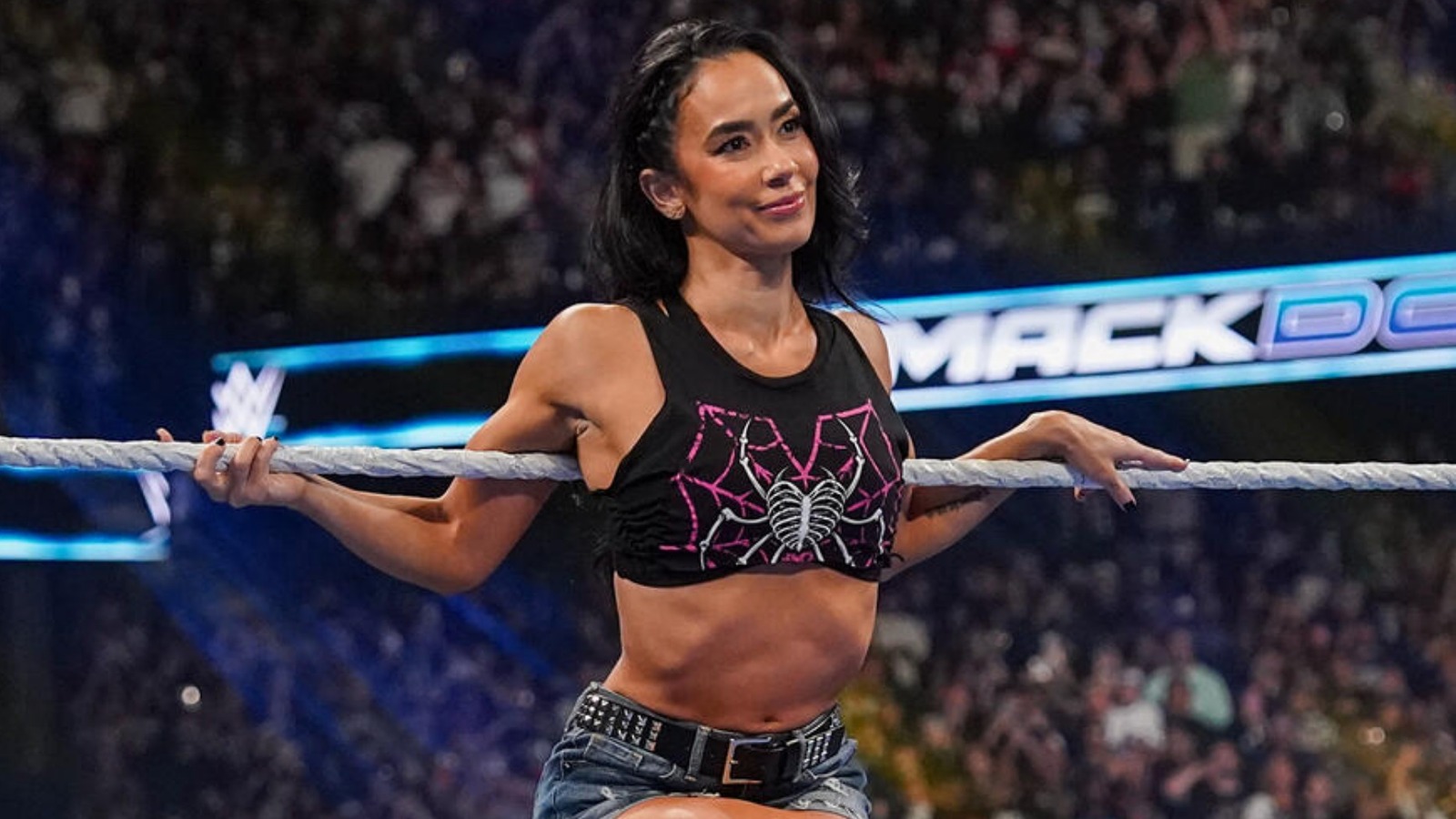 AJ Lee's WWE WrestleMania Plans Potentially 'Locked In'