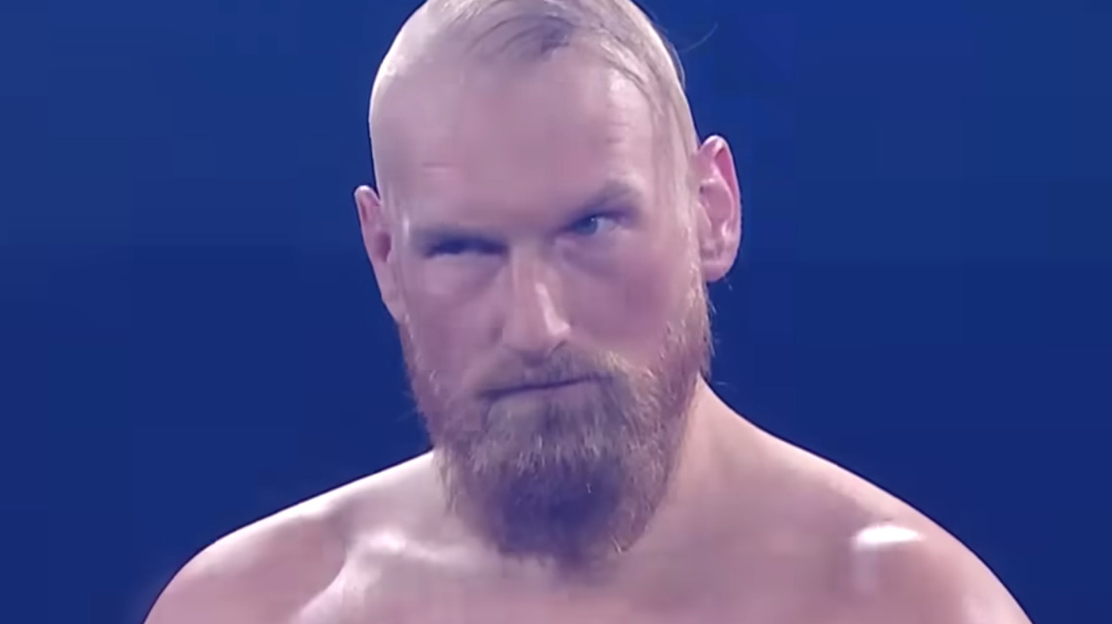 Alexander Wolfe Agrees Aspect Of Sanity's WWE Main Roster Run Was Confusing