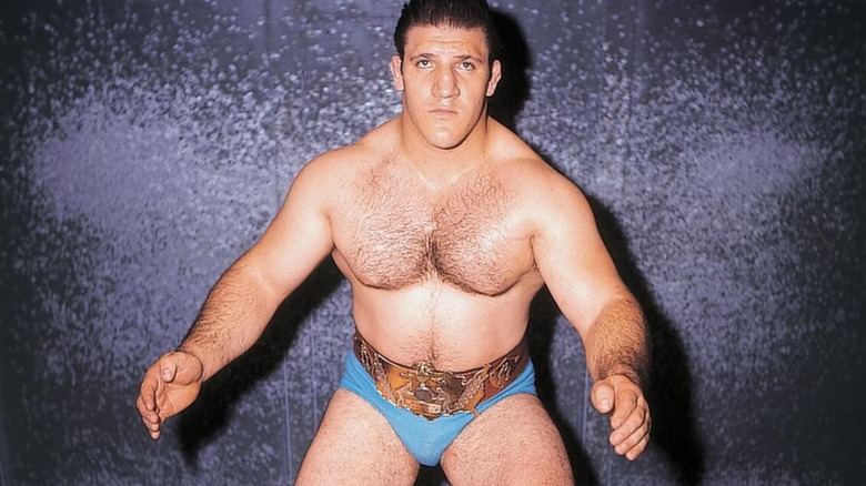 Bruno Sammartino is seen wearing the title belt from the territories, described in Triple H's interview with Complex.
