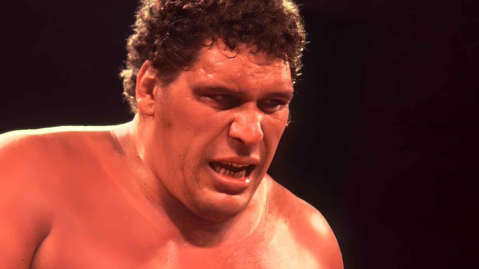 Andre The Giant Liked Undertaker, Despite Disdain For Other Big Men