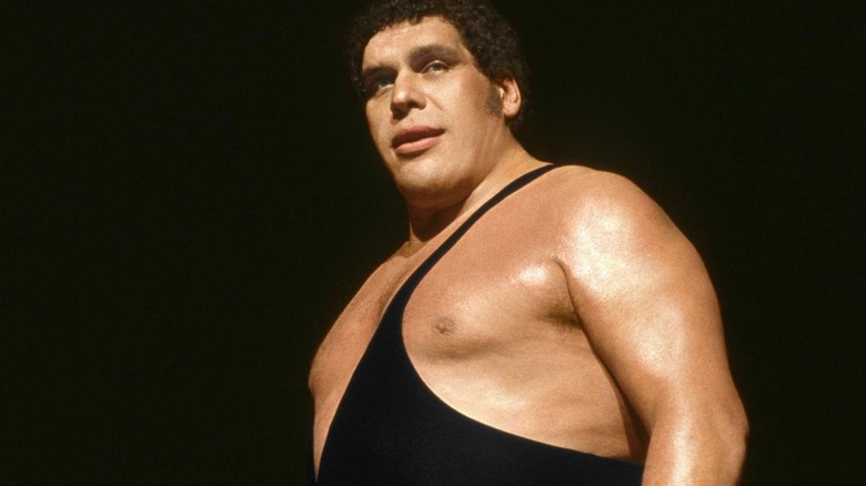 andre-the-giant-wwe