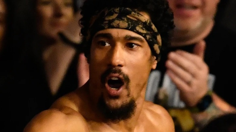 AR Fox looking away