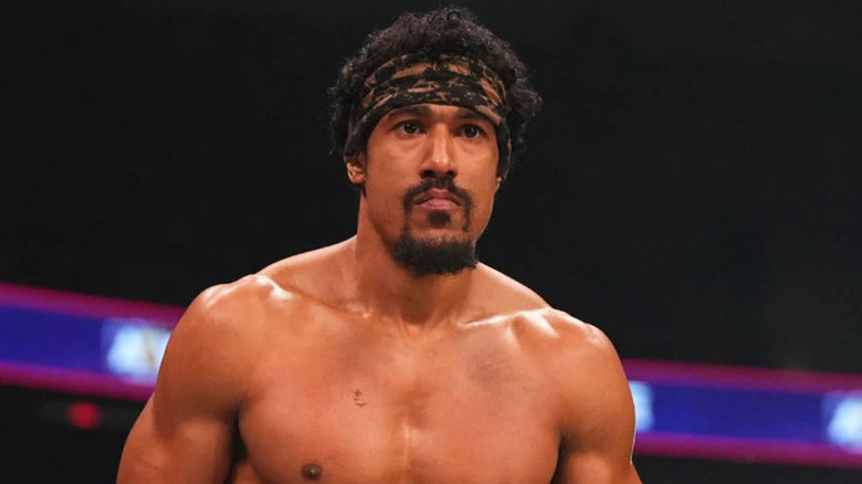 AR Fox