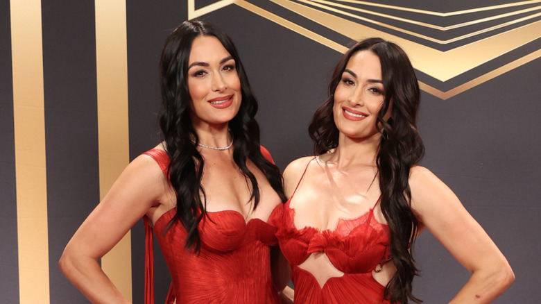 Brie and Nikki Bella at the WWE Hall Of Fame