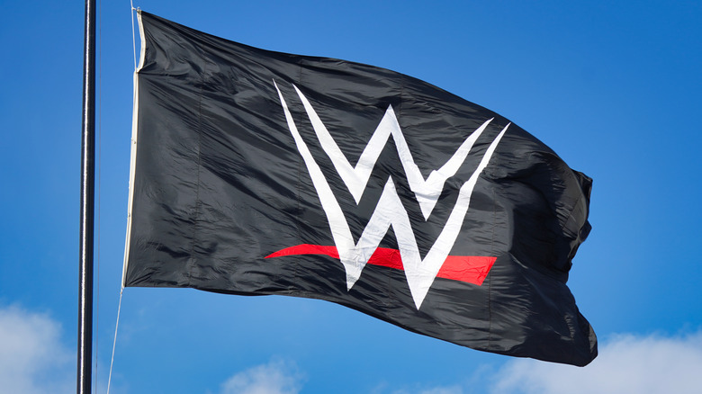 WWE flag waving