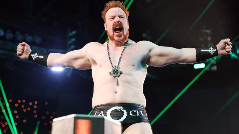 Sheamus poses on the turnbuckle and looks to the fans before a match on WWE programming.