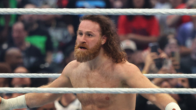 Sami Zayn posing in the ring
