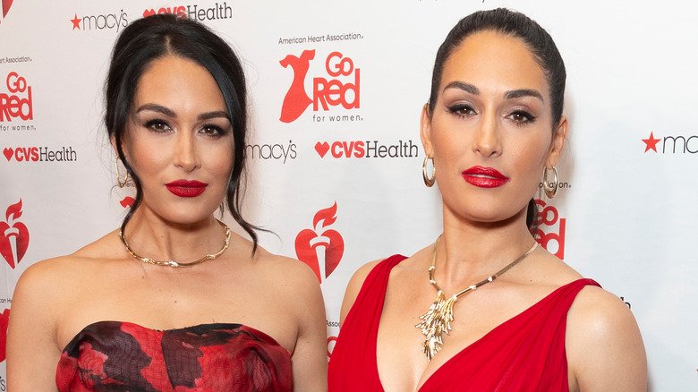 The Bella Twins