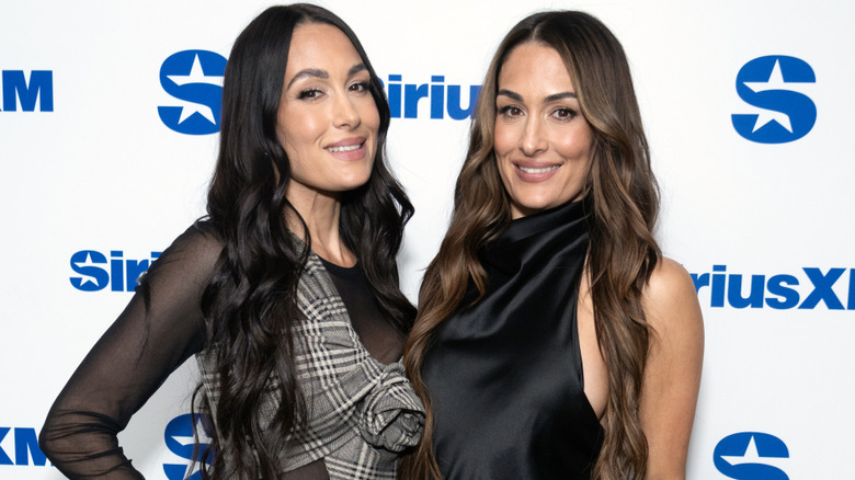 Brie and Nikki Bella smiling