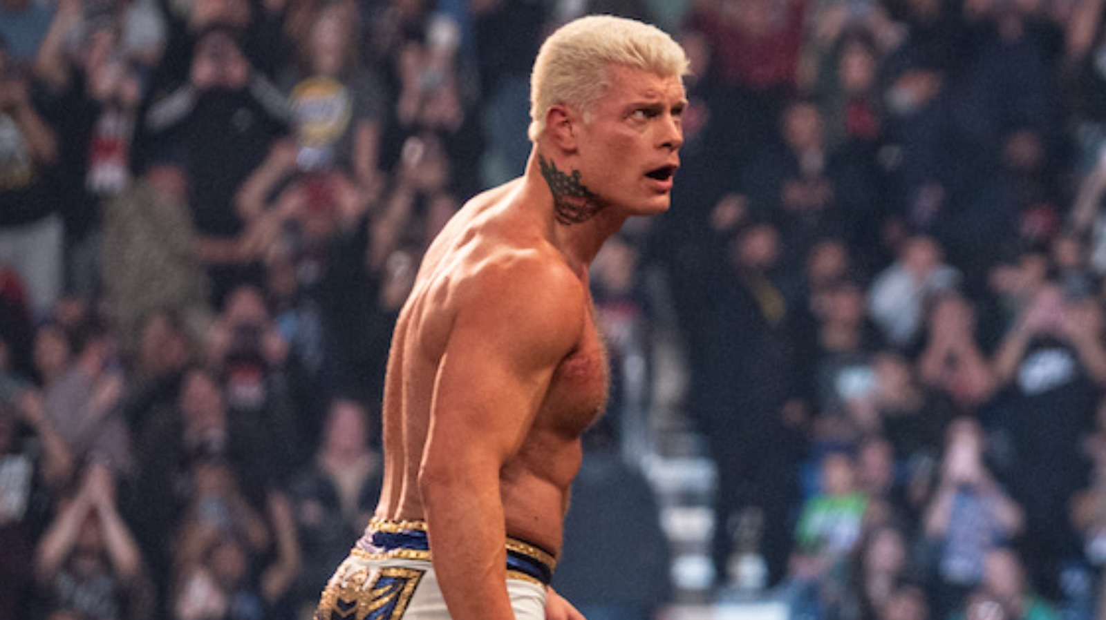 Betting Odds Released For Cody Rhodes Vs. Roman Reigns