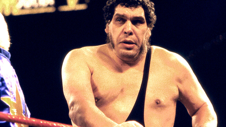 Andre las muecas gigantes