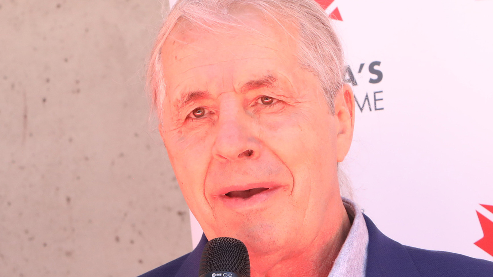 Bret Hart Names Wrestling Legends Who Couldn't Pull Off Heel Turn In Wake Of Cena's