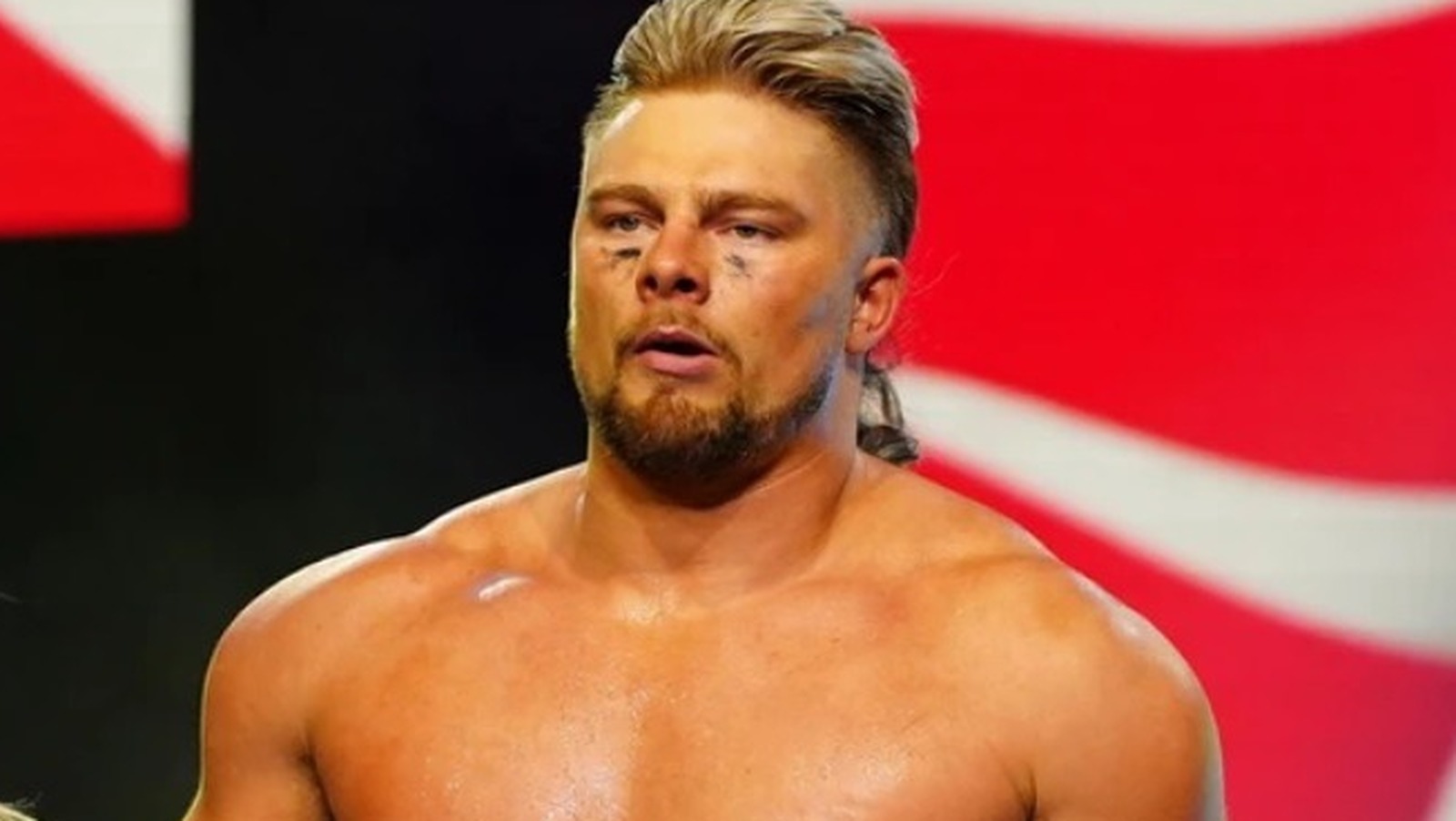 aew wrestling inc