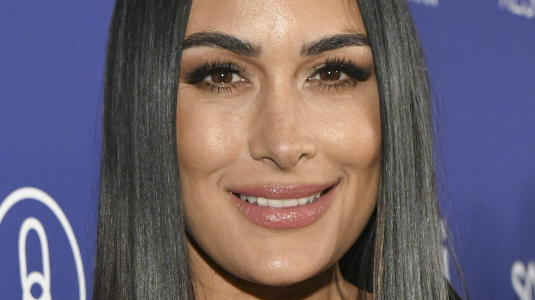 Brie Bella At A Red Carpet Event In 2022