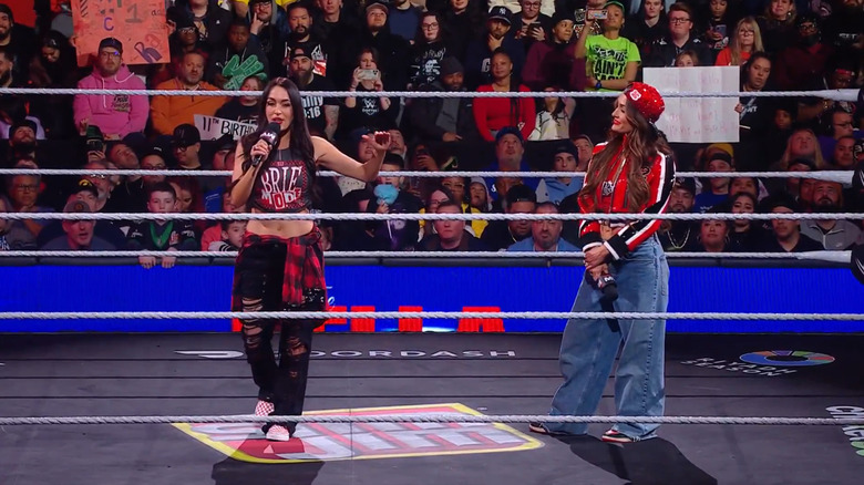 The Bellas in the ring