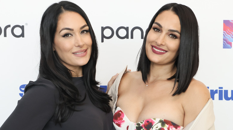 Brie & Nikki Garcia Pose At A Red Carpet Event