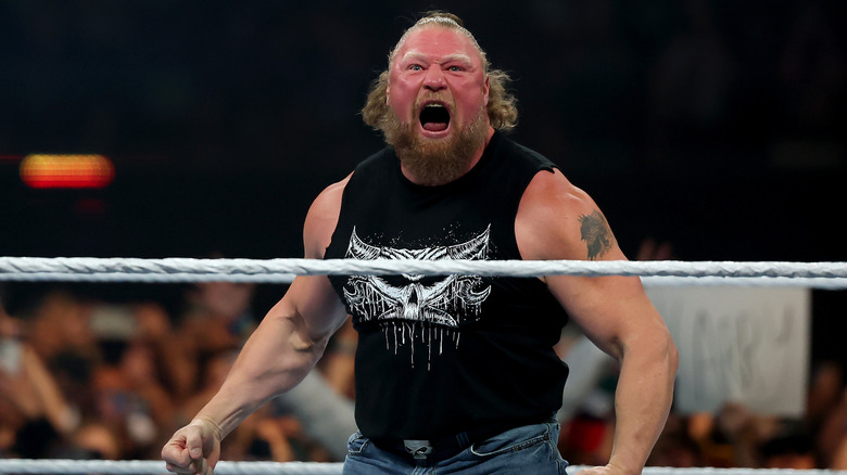 Brock Lesnar in the ring