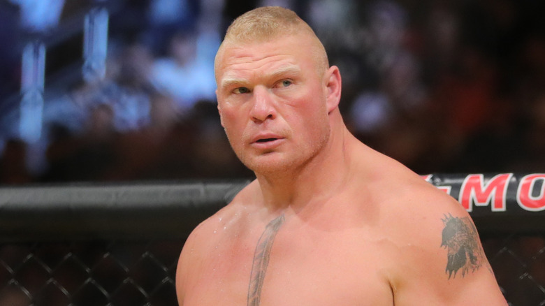Brock Lesnar in an MMA octagon