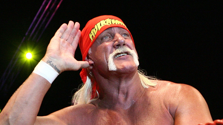 Hulk Hogan poses