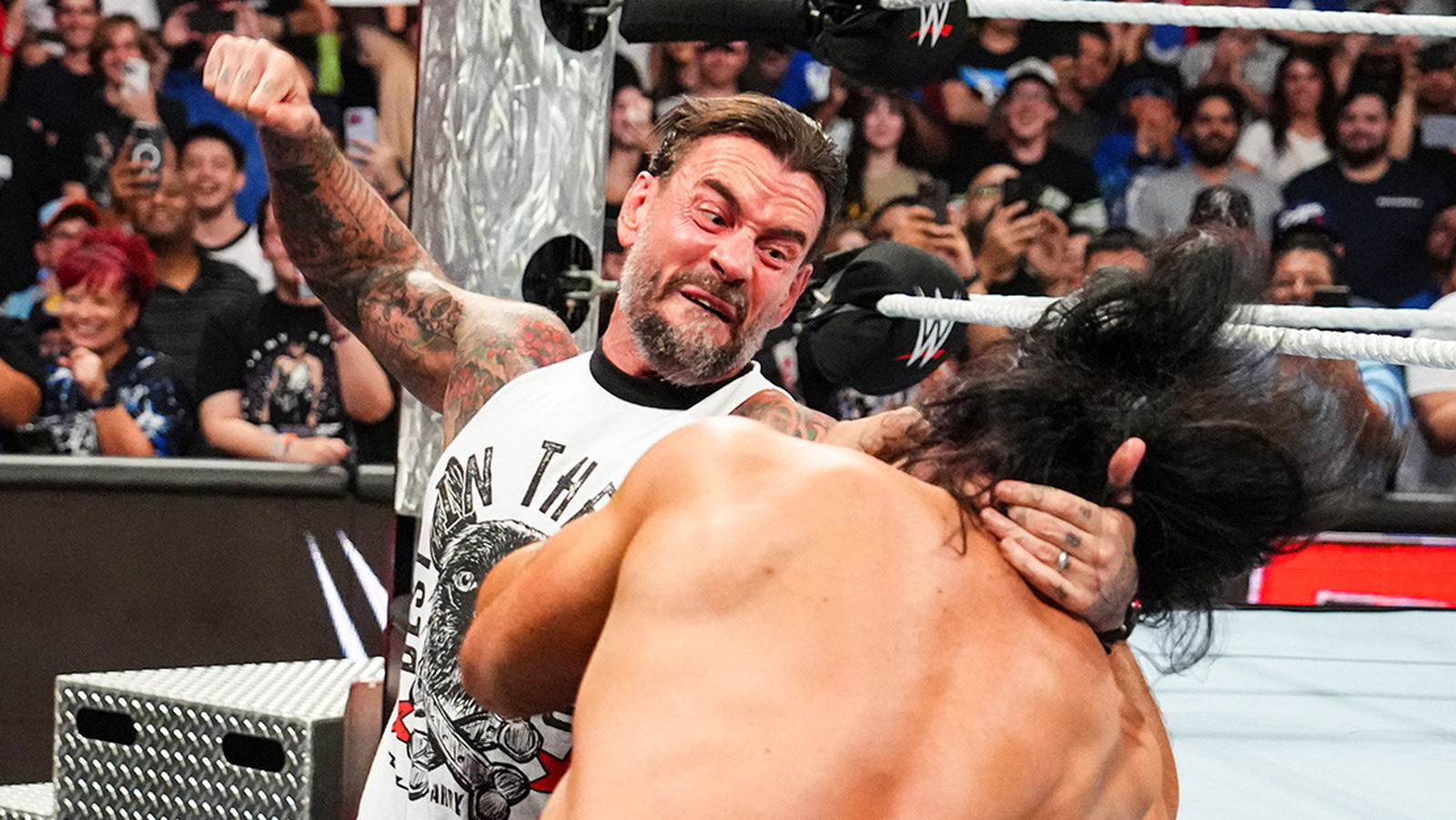 ブリー・レイはCMパンクとドリュー・マッキンタイアのWWEでの確執がこの合意につながると考えている ブリー・レイはCMパンクとドリュー・マッキンタイアのWWEでの確執がこの合意につながると考えている