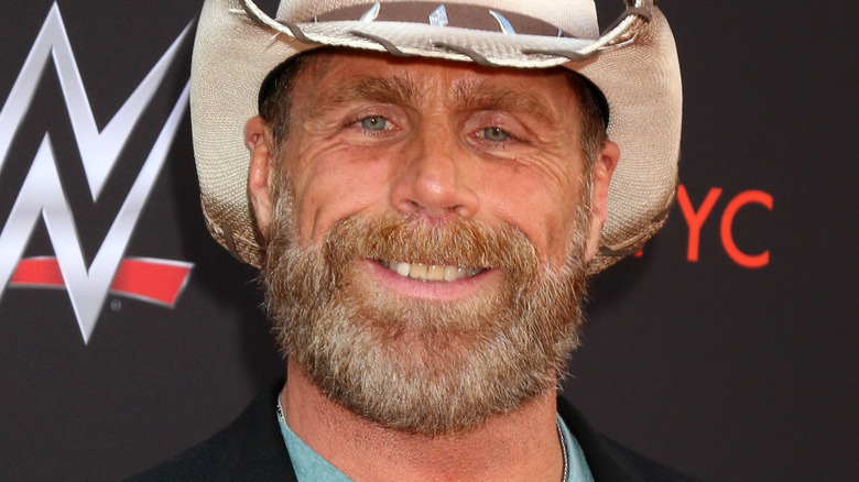 Shawn Michaels smiling