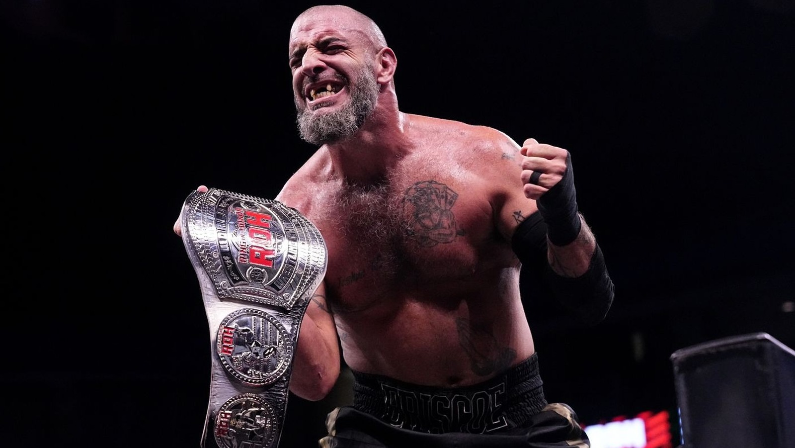 Chris Jericho Eats Jay Driller, Mark Briscoe Keeps ROH World Title At AEW WrestleDream