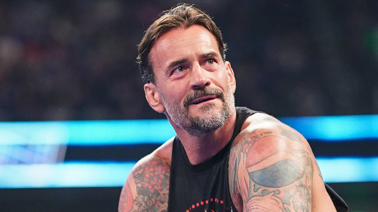 CM Punk in the ring