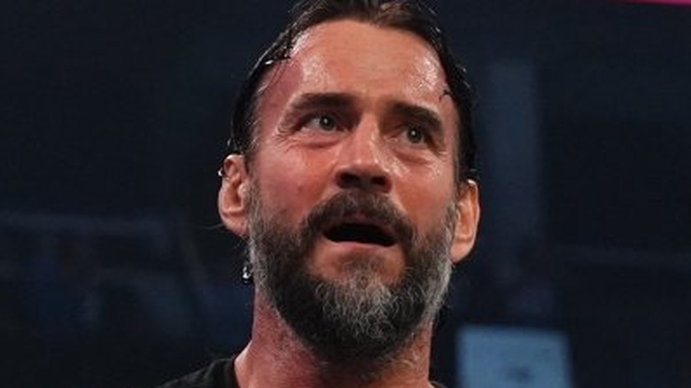 CM Punk in the ring