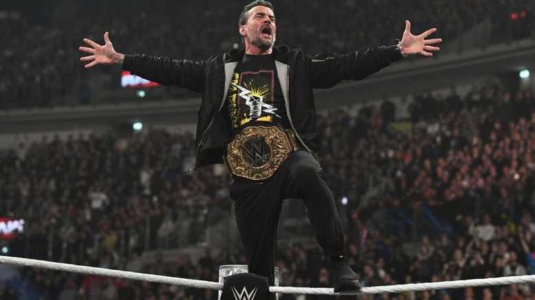 CM Punk poses on the ropes, the World Heavyweight Championship around his waist, on an episode of 