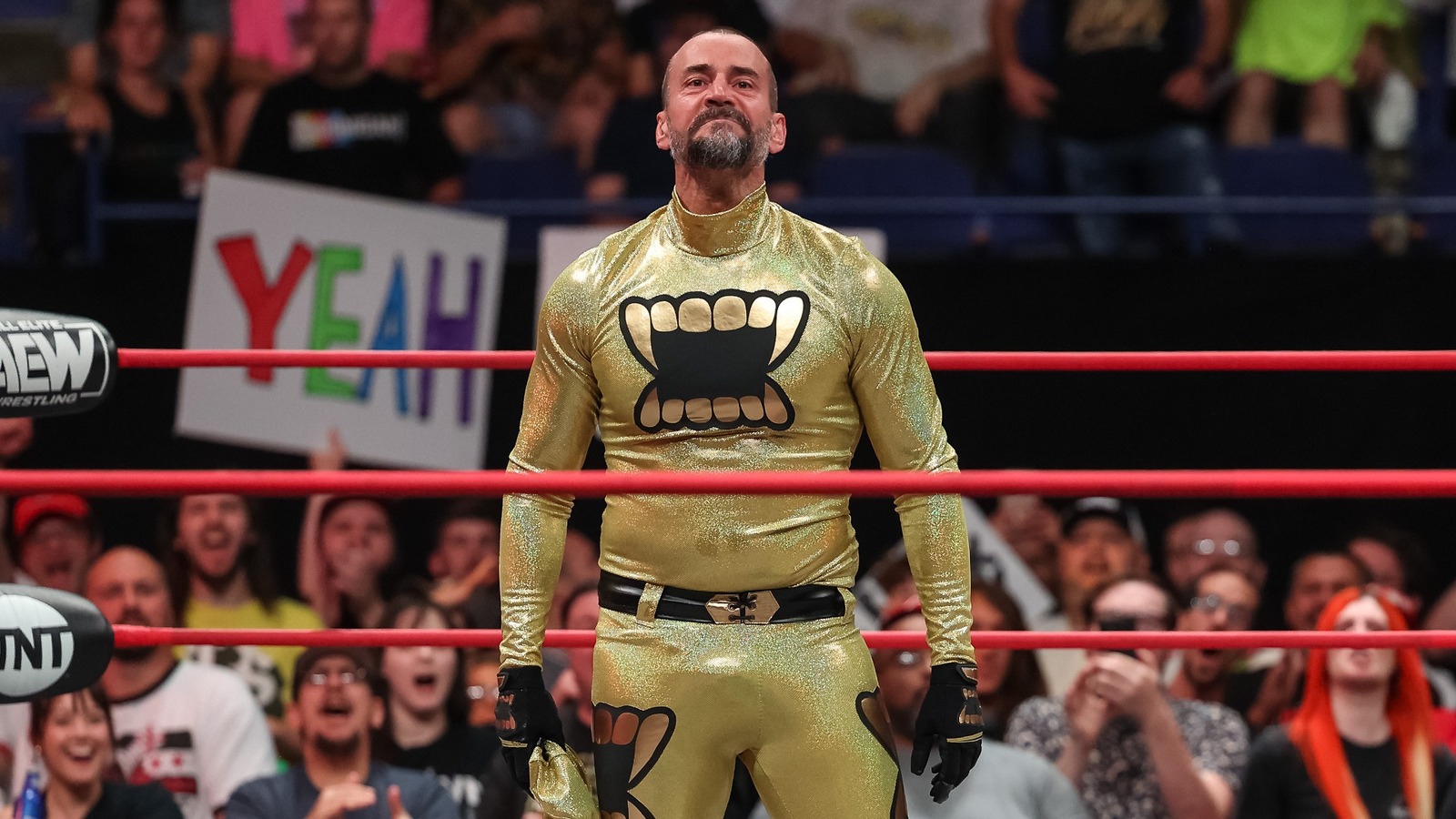 CM Punk Teaming Up With Darby Allin, Sting, And A Mystery Partner On AEW Collision - Vimarsana News