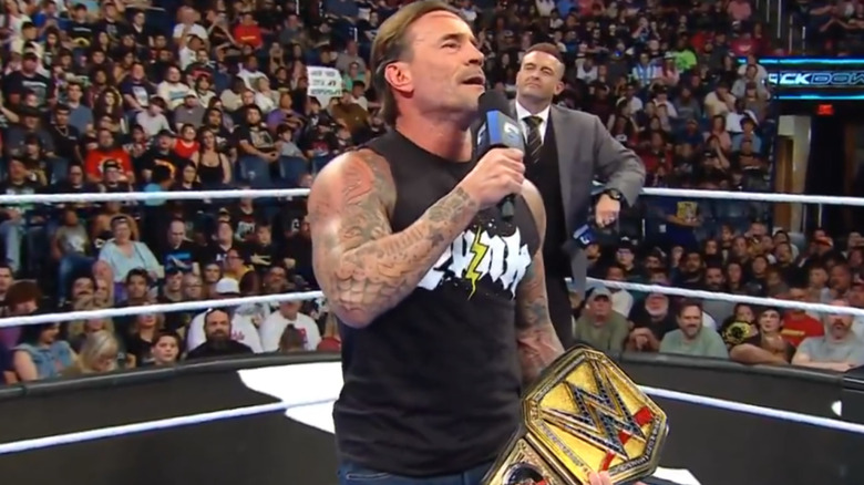 CM Punk in the ring