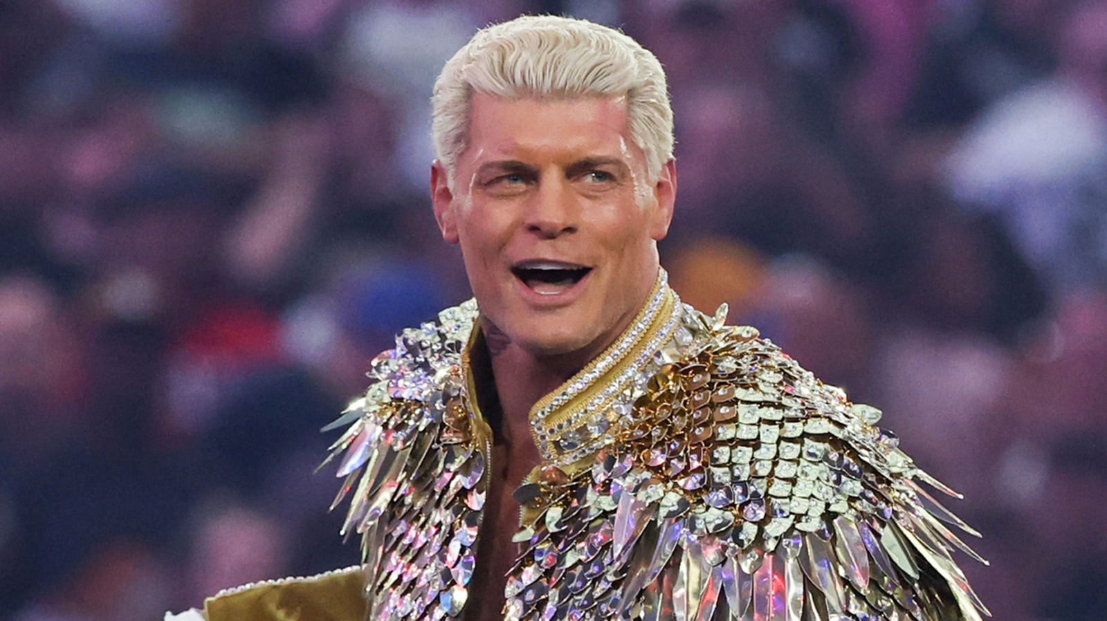 Cody Rhodes Names The Best Example Of An 'Organic' Run In WWE