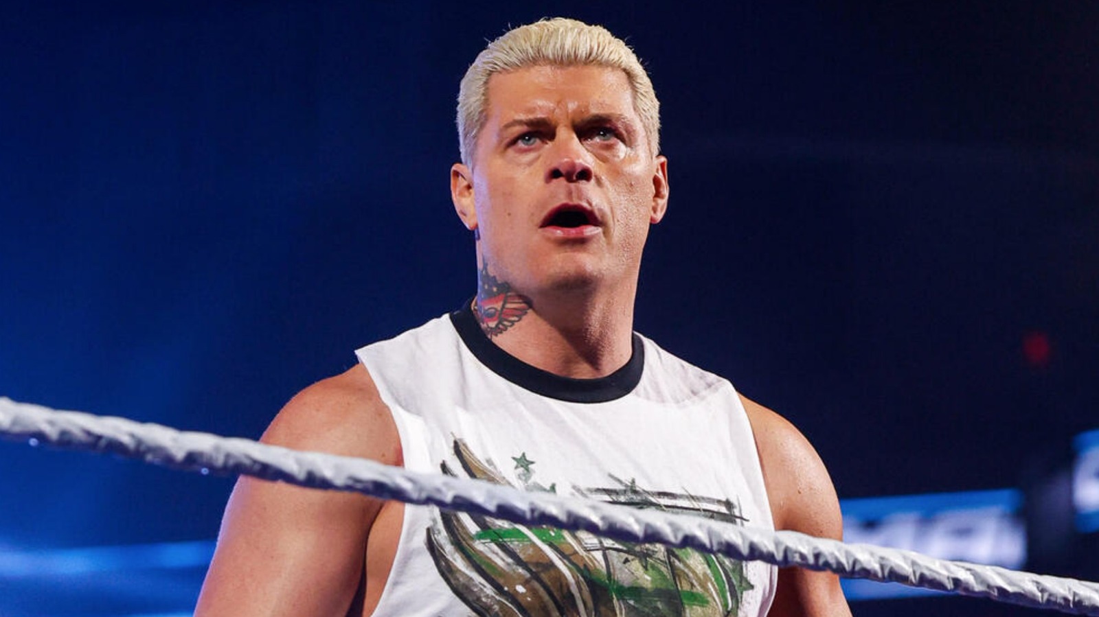 Cody Rhodes: The Undertaker Would Have Enjoyed Facing Logan Paul in WWE - News Directory 3