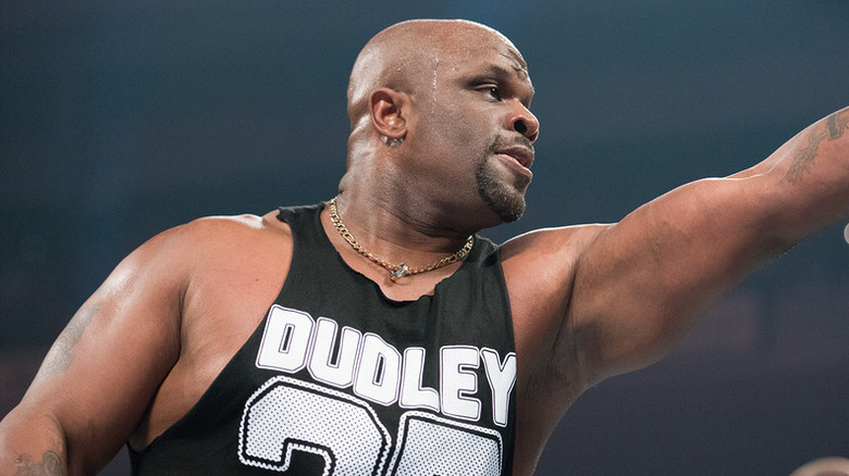 D-Von Dudley performing in WWE