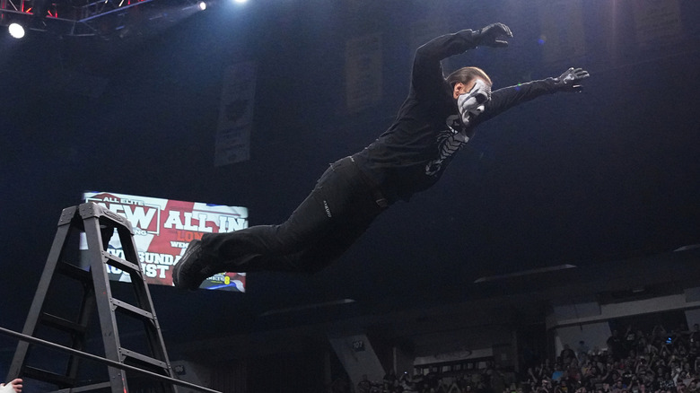 Sting dives off a ladder