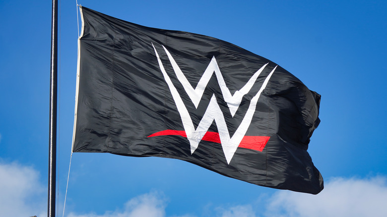 WWE flag waving