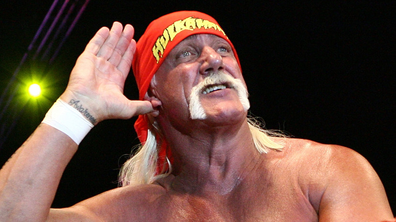 Hulk Hogan doing his trademark pose